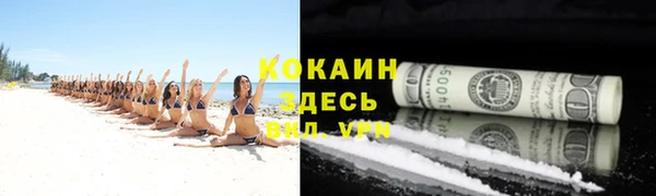 spice Алексин