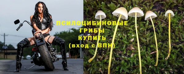 соль курить ск Алексеевка