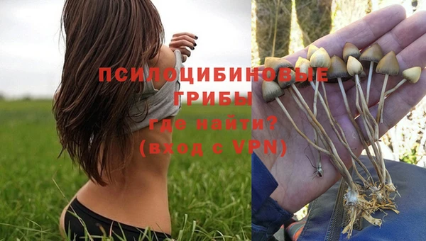 spice Алексин
